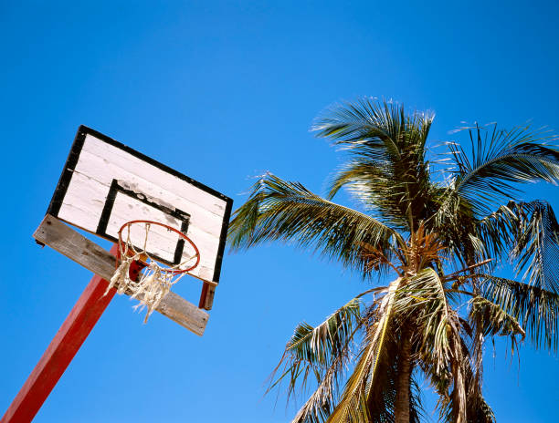 istock Old basketball basket and a palm 1295613014
