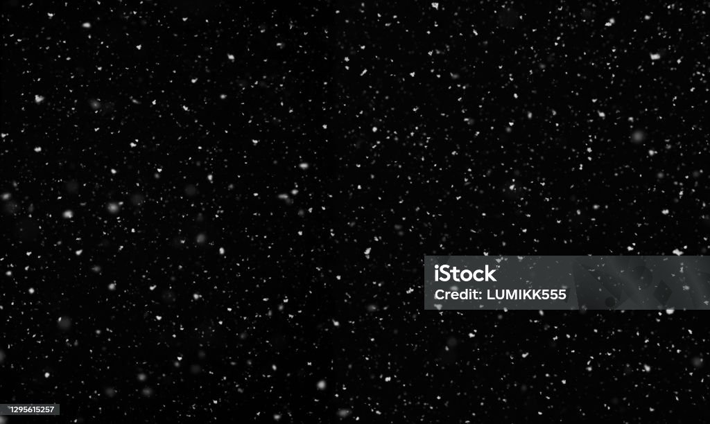 Falling snow isolated on black background. Falling snow isolated on black background. Nature Winter texture with motion real snowflakes in calm weather. Beautiful natural pattern of snow. Template for design, post-production Snow Stock Photo