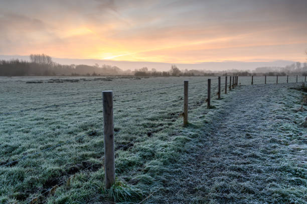 istock Frosty Sunrise in rural England 1295618908