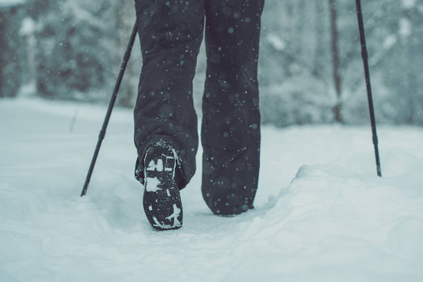 vista posteriore alle gambe degli escursionisti che fanno scandinavo andando nel parco invernale innevato. - rear view winter blizzard nordic countries foto e immagini stock