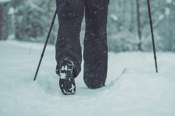 Rear view to walker legs doing scandinavian going in snowy winter park. Concept activity leisure.