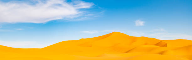 (selective focus) stunning view of some sand dunes illuminated during a sunny day in merzouga, morocco. natural background with copy space. - journey camel travel desert imagens e fotografias de stock