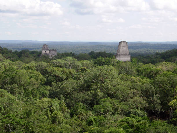 istock Mayan pyramids appear on the jungle in Tikal, Guatemala 1295624508
