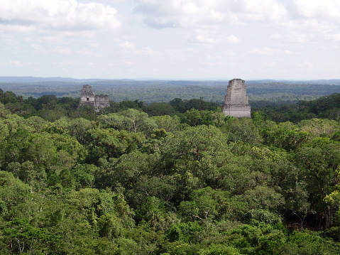 Mayan pyramids emerge from the deep jungle in the archaeological site of Tikal, northern Guatemala.