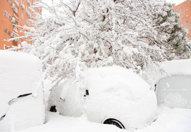 istock Snow covered cars and tree. 1295624597