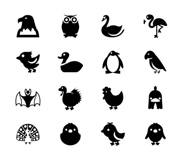 ilustrações, clipart, desenhos animados e ícones de ícones de ilustração vetorial de pássaros definidos. águia, coruja, ganso, cisne, pinguim, papagaio, morcego, galinha, galinha, pavão coleção de símbolos isolados - duck animal egg isolated bird