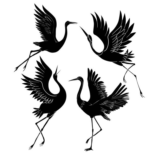 silhouette oder schatten schwarze tinte ikonen von kranvögeln oder reiher fliegen und stehen set. gruppe von störchen skiriss vorlage oder kreative hintergrund vektor illustration isoliert auf weiß. - kranich stock-grafiken, -clipart, -cartoons und -symbole