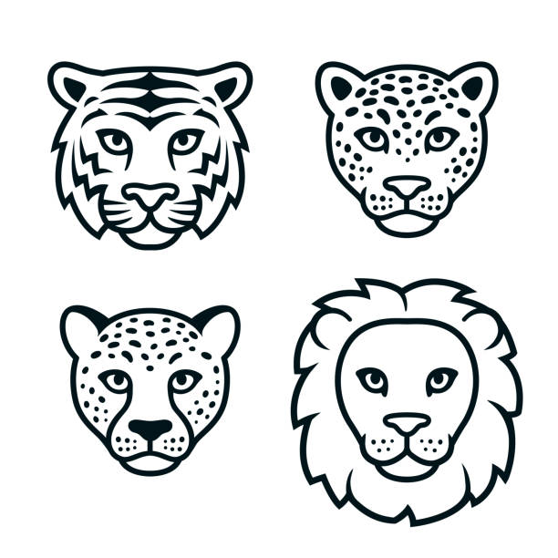 ilustrações, clipart, desenhos animados e ícones de cartoon wild cats head set - tiger lion leopard cartoon