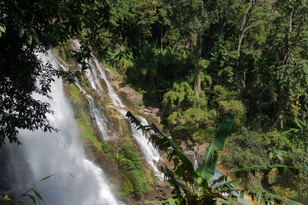 istock Waterfall and forest at Chiang Mai, Thailand Nov 2020. 1295633368