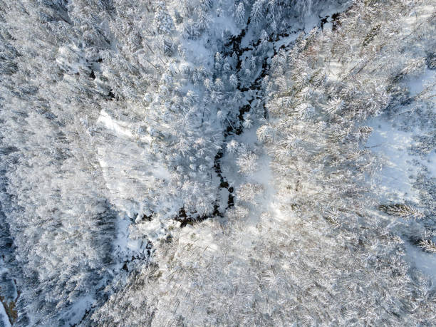 istock Curvy windy road in snow covered forest, top down aerial view 1295634247