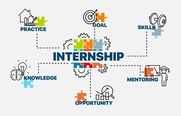 Internship concept. Infographics. Chart with keywords and icons. Vector illustration. Internship concept. Infographics. Chart with keywords and icons. Vector illustration. Trainee stock illustrations