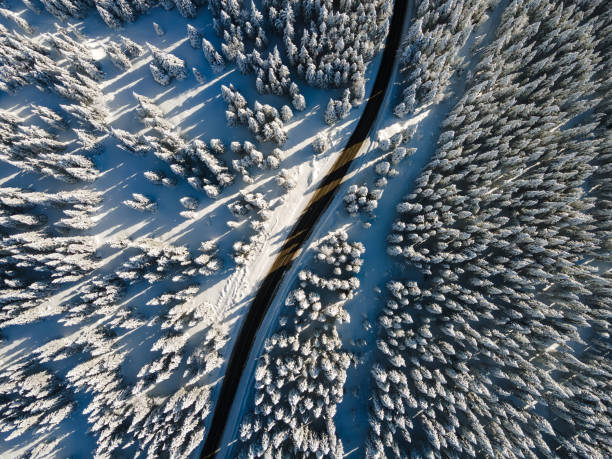 istock Curvy windy road in snow covered forest, top down aerial view 1295634408