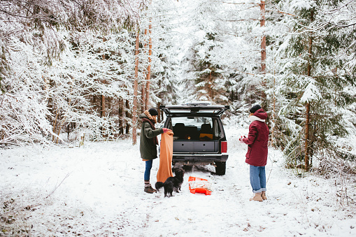 Two friends and their pet dog going for a sled ride in nature.
