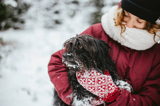 istock Small dog covered in snow 1295636125