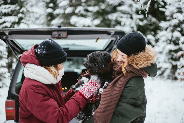 istock Friends in nature with dog 1295636133