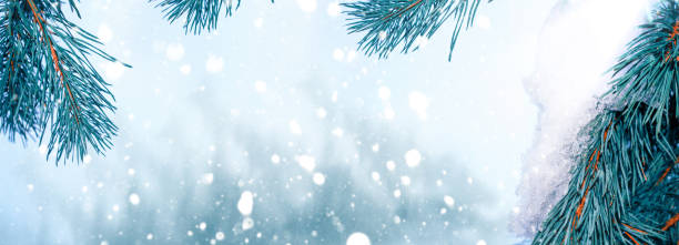 istock Winter forest in the snow. Winter landscape. 1295636294