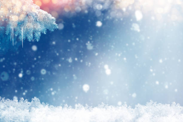 istock Winter forest in the snow. Winter landscape. 1295636370