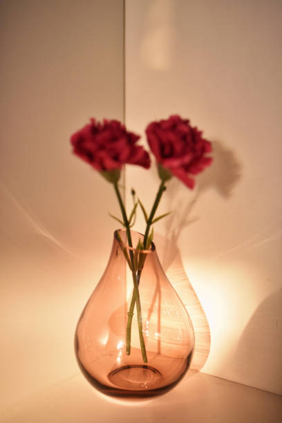 istock Still life- Transparent Vase with red flowers kept on a table in a wall corner 1295639571