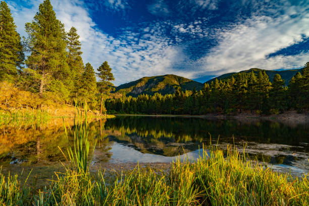 istock Clouds, Pines, and Reeds Over Pine Valley Reservoir 1295640096