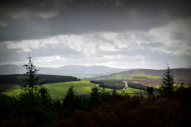 istock forest mountains and heavy skies 1295641706