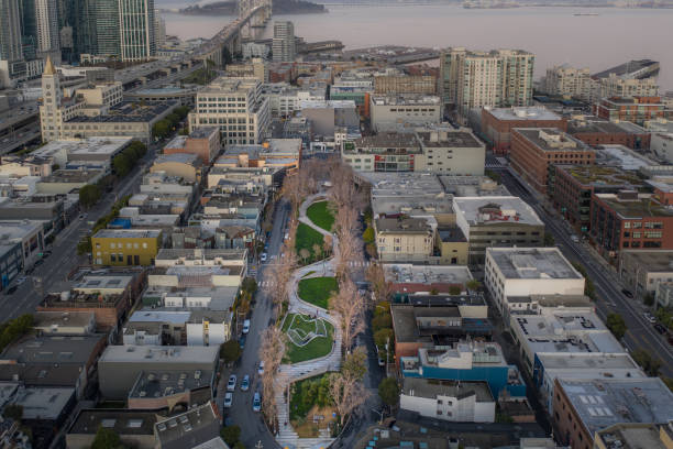 istock Aerial View of San Francisco Park 1295643674
