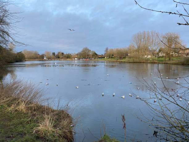 istock A view of Nantwich Lake 1295645187
