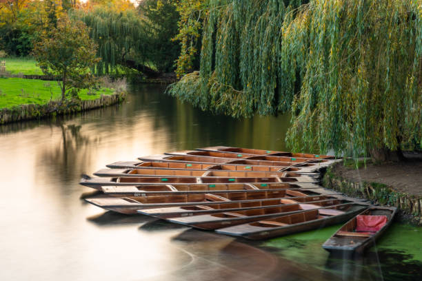 Group of punts docked on the side of rive Cam, Cambridge, UK Long exposure of a group of punts docked on the side of rive Cam, Cambridge, UK punting stock pictures, royalty-free photos & images
