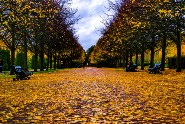 istock Regent’s Park in autumn 1295646372