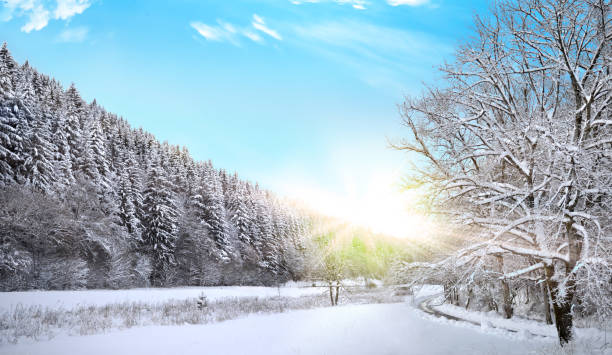 śnieg zimowy las boże narodzenie zimowy wonderland zachód słońca - skiing winter snow mountain zdjęcia i obrazy z banku zdjęć