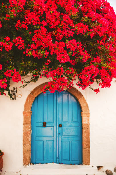 греческая улица с бугенвилей - bougainvillea стоковые фото и изображения