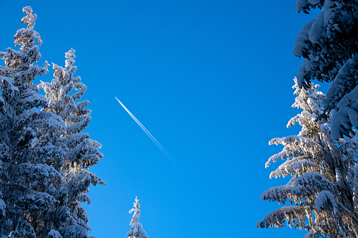 Airplane in the blue sky over a winter forest