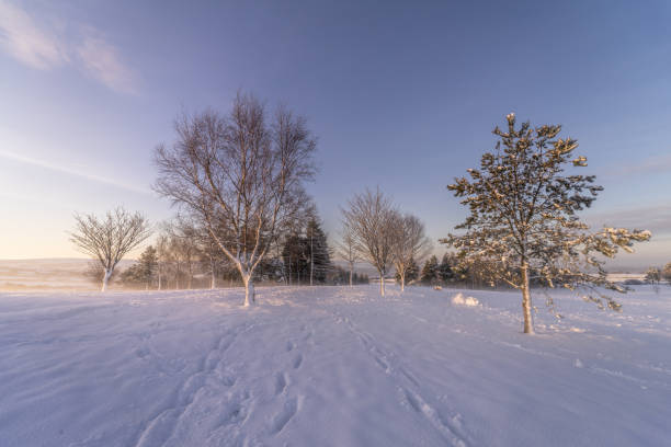 istock English Winter Landscape 1295653094