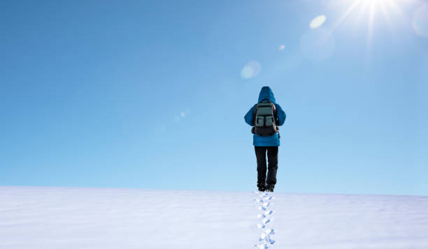 istock Person in blue jacket walks in the snow 1295655245