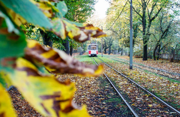 istock tram rides on rails in autumn 1295655247