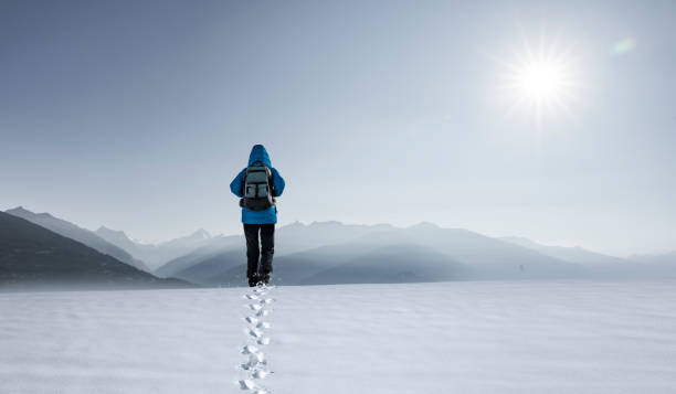 istock Person in blue jacket walks in the snow 1295655264