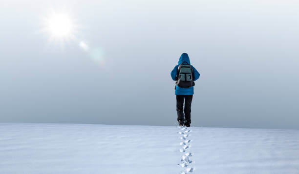 istock Person in blue jacket walks in the snow 1295655266