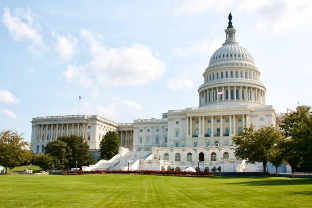 istock The Capitol in Washington DC (USA) 1295655664