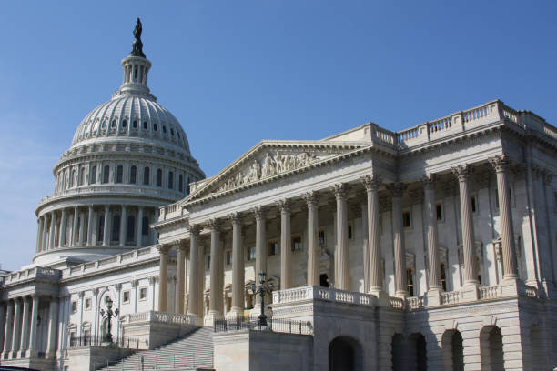 istock The Capitol in Washington DC (USA) 1295655719