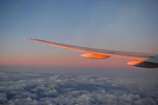 Aircraft wing above cloudscraper with horizon of pink and blue sky,view from airplane window.