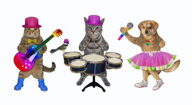 istock Two cats and dog sing song 1295658996
