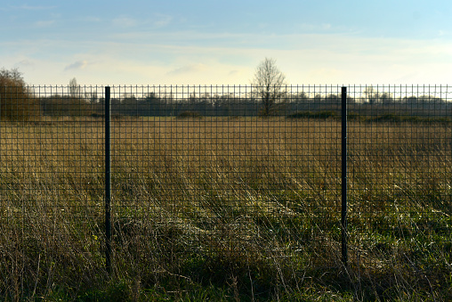 field tall grass and barriers