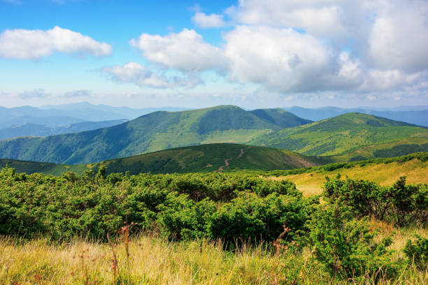 istock mountain landscape on a bright summer day 1295663282