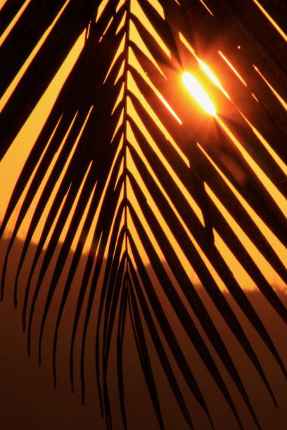 istock travel photo 1295663594