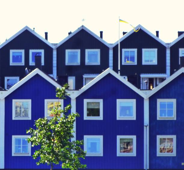 blue house front with white windows, typical Swedish construction in a settlement in Karlskrona, summer, tree in the foreground
