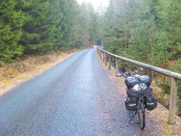 istock Cycle route in Saxony at Upper Lusatia 1295665776
