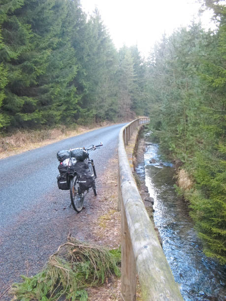 istock Cycle route in Saxony at Upper Lusatia 1295665786