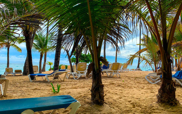 istock Palm trees and lounge on sandy beach 1295665952
