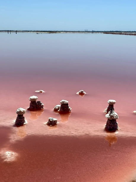 istock Pink salt lake with salt column 1295666189