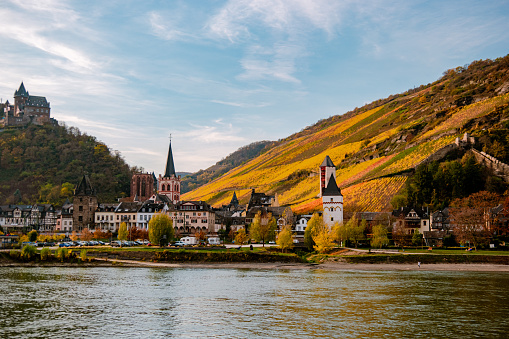 Travel in Germany - river cruises in Rhein river, beautiful medieval town and wine fields. Germany Koblenz area