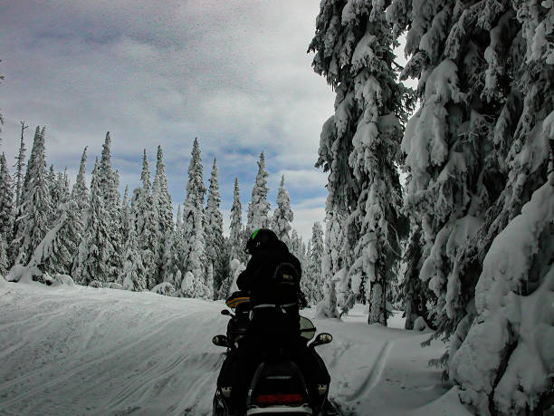 istock Snowmobile on trail in Yellowstone National Park 1295667630